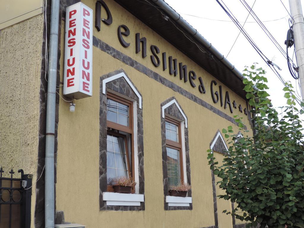 Pensiunea Gia Sighisoara Exterior photo